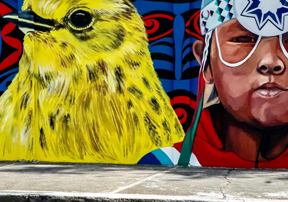 "Conecciones" street art, Santo Domingo, DR, featuring the Cape May Warbler
