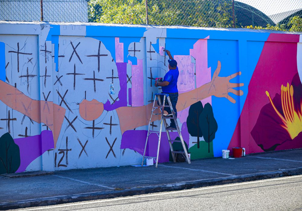 At work on the Cape May Warbler mural in Santo Domingo