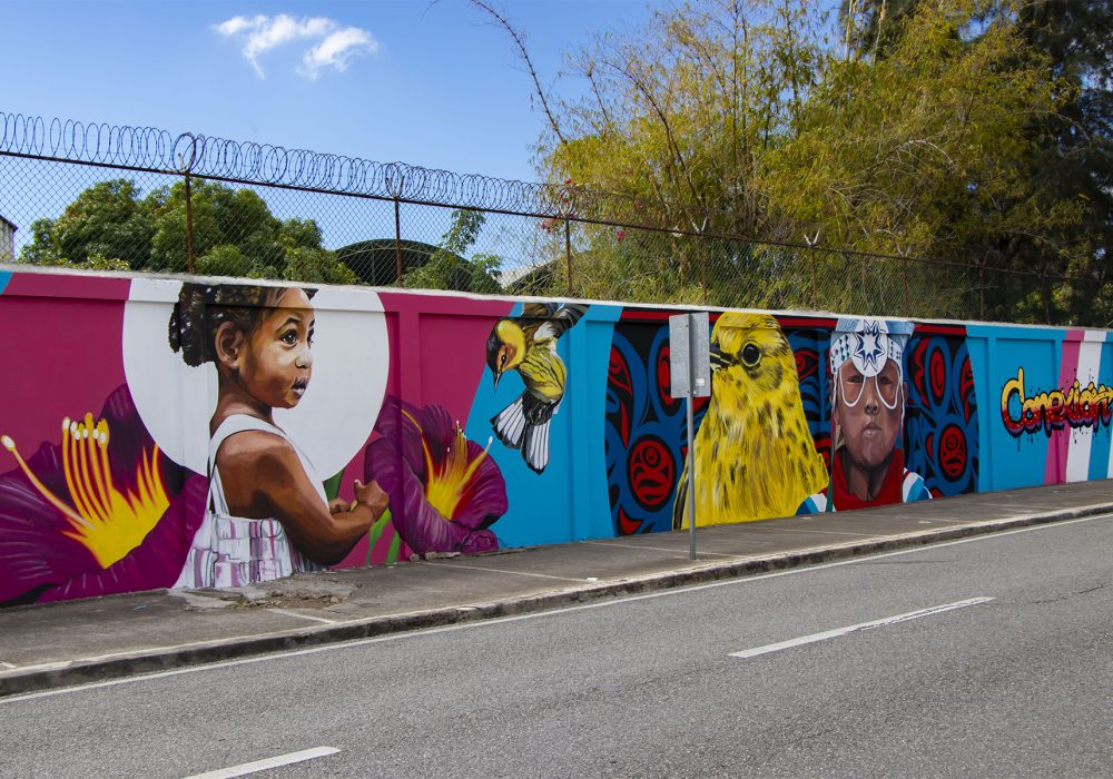 "Conecciones" street art, Santo Domingo, DR, featuring the Cape May Warbler