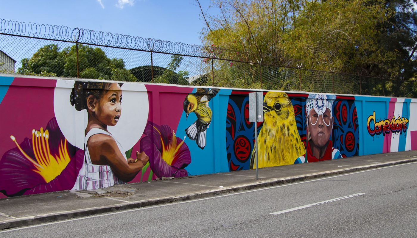 DR_Conexion_sm_229 "Conecciones" street art, Santo Domingo, DR, featuring the Cape May Warbler