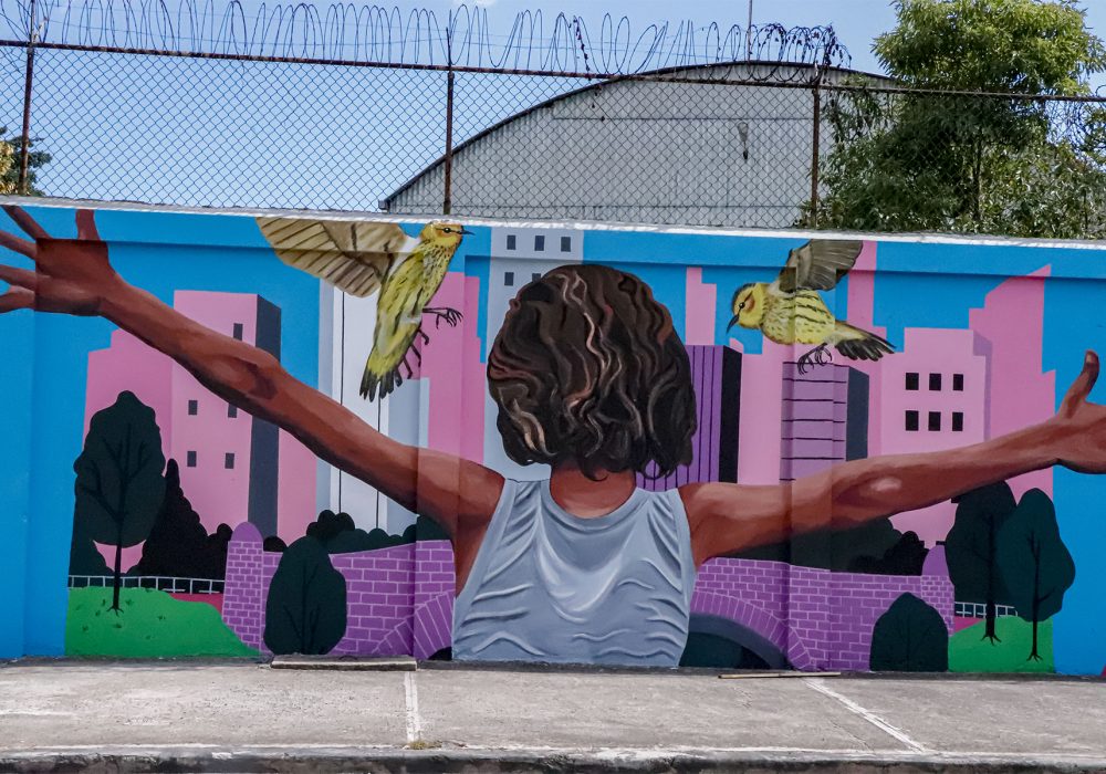 "Conecciones" street art, Santo Domingo, DR, featuring the Cape May Warbler