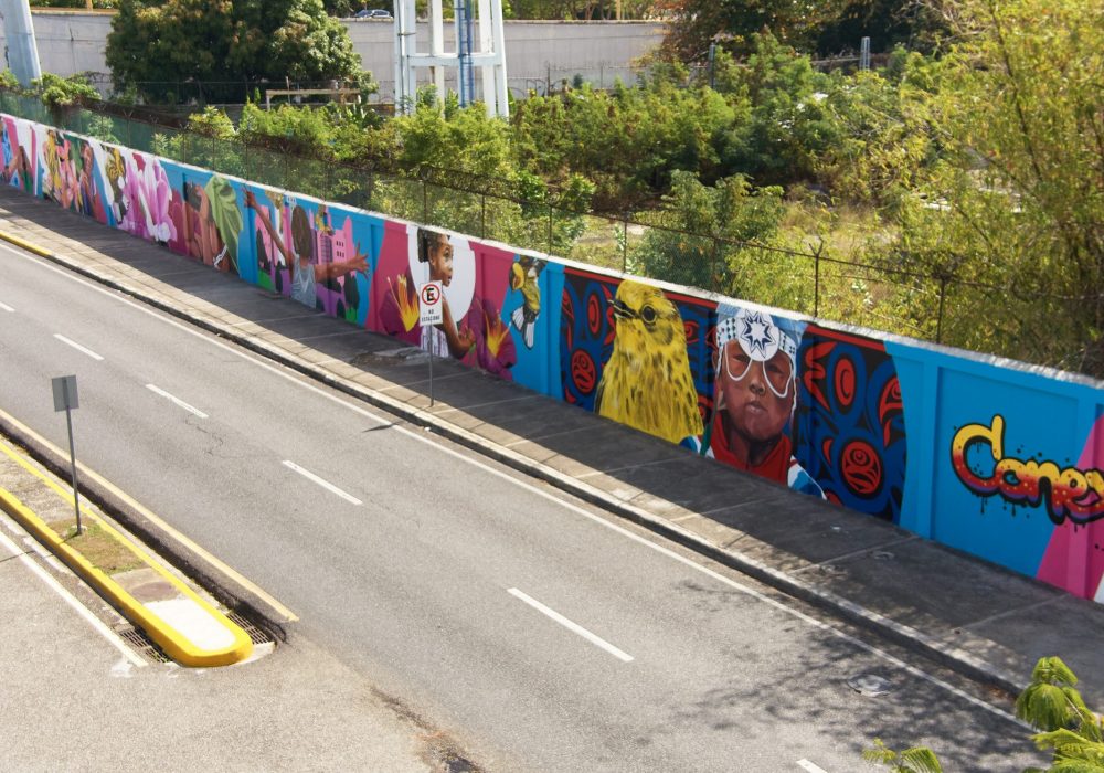 "Conecciones" street art, Santo Domingo, DR, featuring the Cape May Warbler